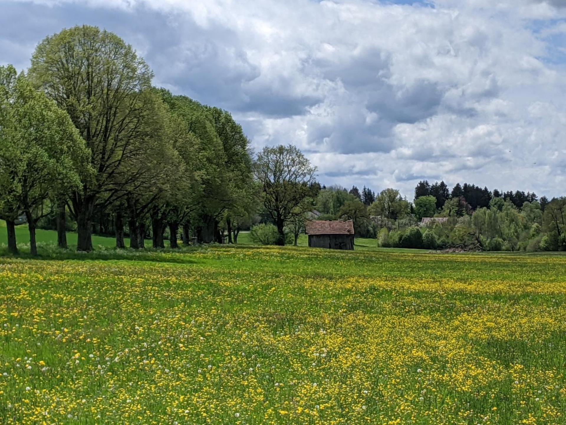 Hotel Germania Bad Wörishofen Zewnętrze zdjęcie